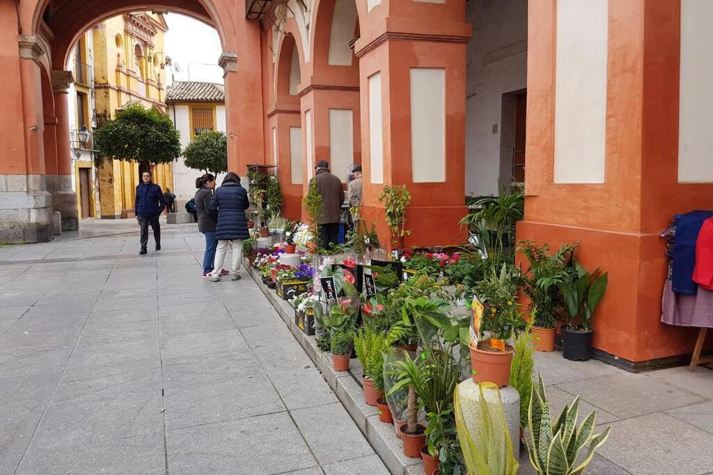 Apartamento San Pedro-Corredera Córdova Exterior foto